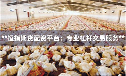 **恒指期货配资平台：专业杠杆交易服务**