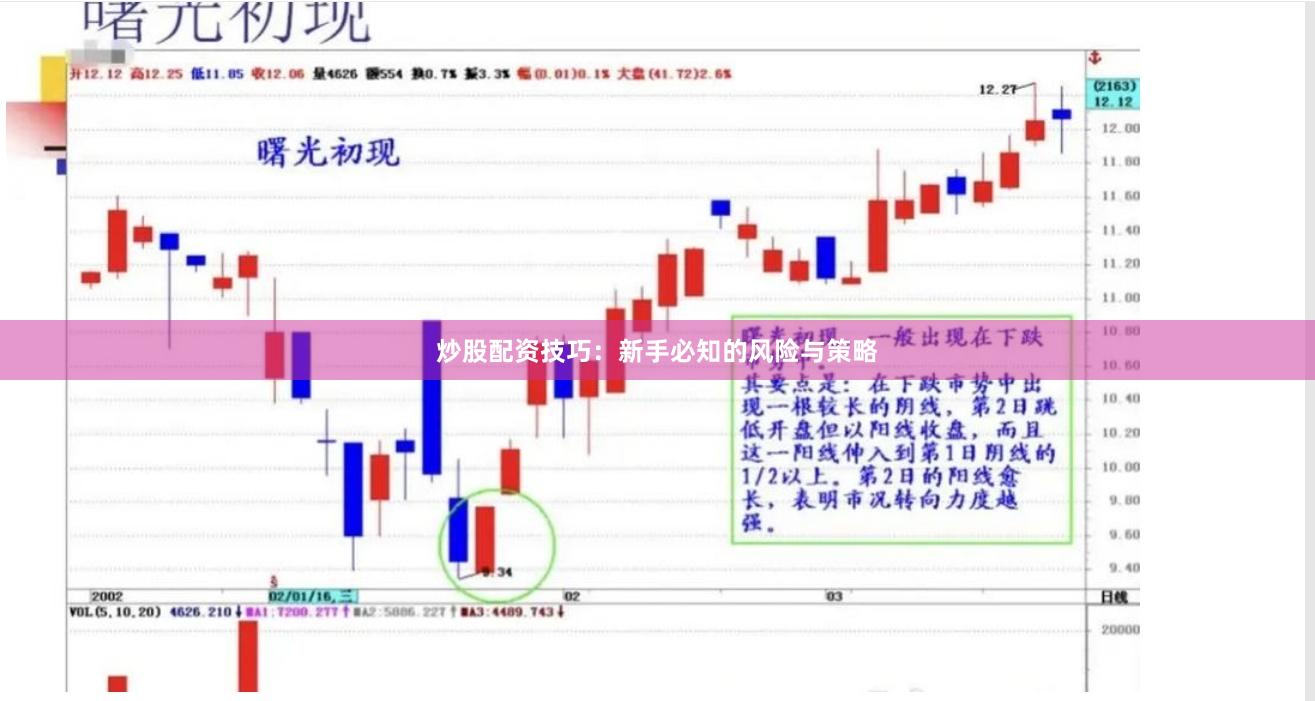 炒股配资技巧：新手必知的风险与策略