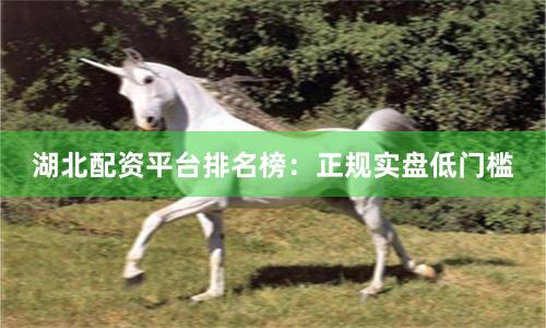 湖北配资平台排名榜：正规实盘低门槛